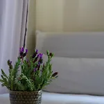 Arrifana Destination Bed & Breakfast