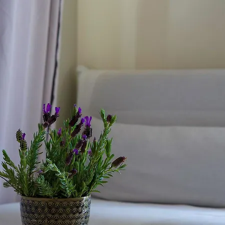 Arrifana Destination Bed & Breakfast