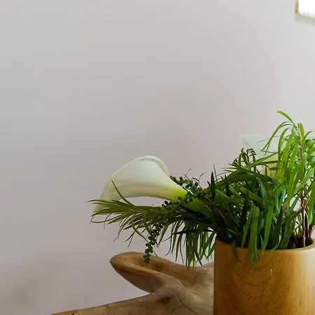 Arrifana Destination